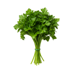 Salsa