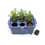 Kit Plante em casa
